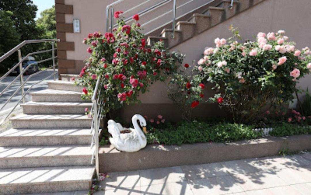 Rooms Odmaraliste Jablan Сень Екстер'єр фото
